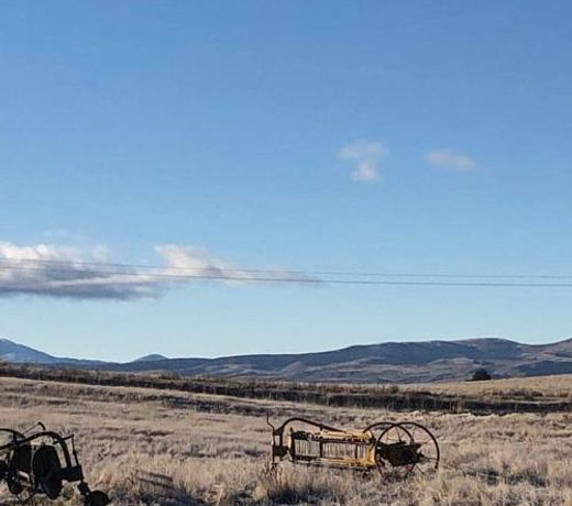 Tussock Lodge - Waipiata