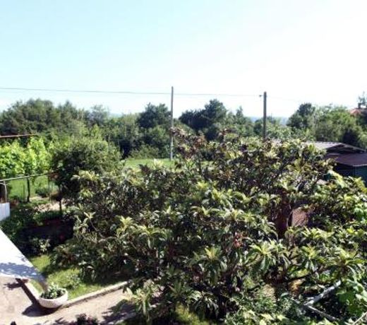 Pure nature coastal apartment VLASTA