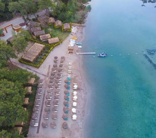 Green Pine Bungalows & Beach Luxury Concept
