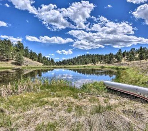 Quiet Guffey Getaway with Private Deck, Pond and Canoe