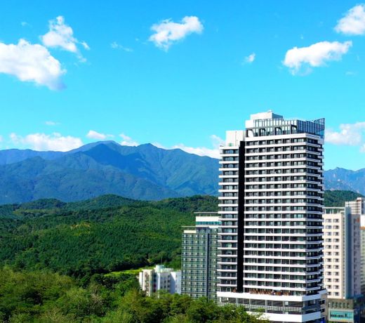 The BlueMark Hotel Sokcho