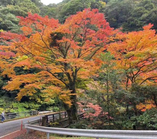 Kirishimaé§å³¶ãæ¸©æ³æ°å®¿ãè²¸åé¢¨åãæã®éã207