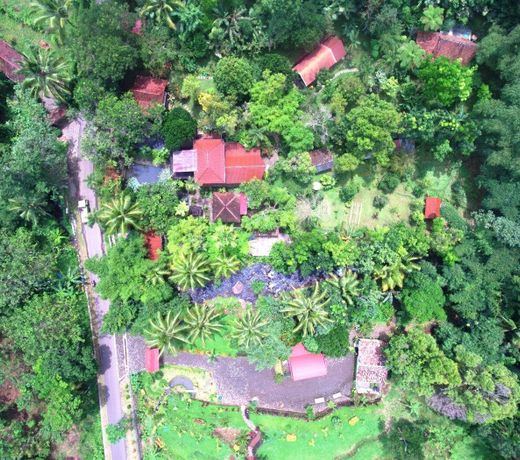 Mi Casa Guest House -  Bungalow Garden View
