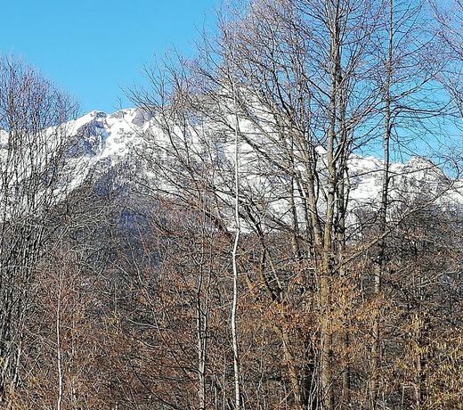 La Baita Nel Bosco Cir