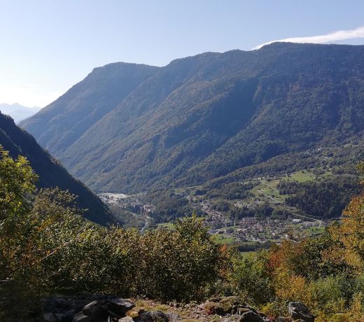 Lantica Casera Dei Walser - Cir