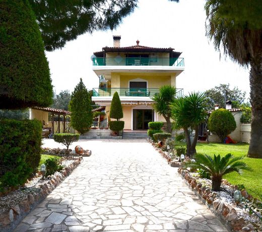 Unwind in a Spacious flat with Gardens near Beach