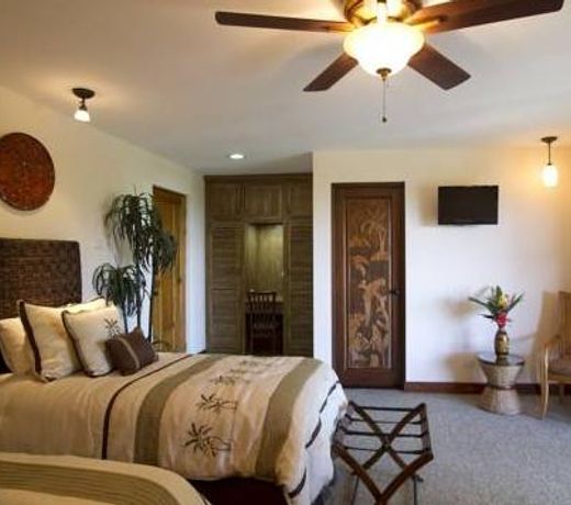 Buena Vista Chic Hotel