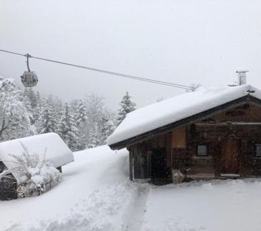 WÃ¶lzenberg Alm