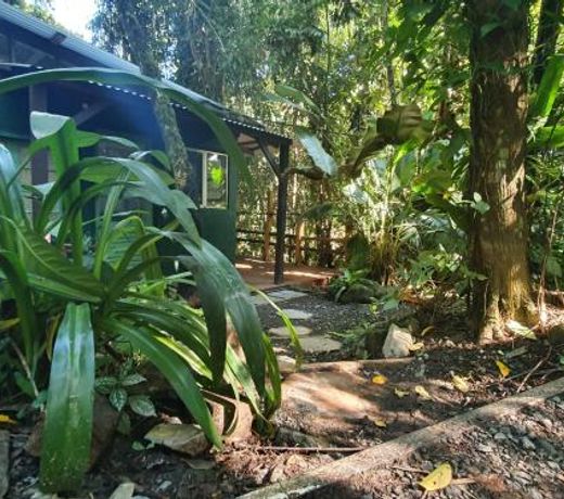 Cassowary House