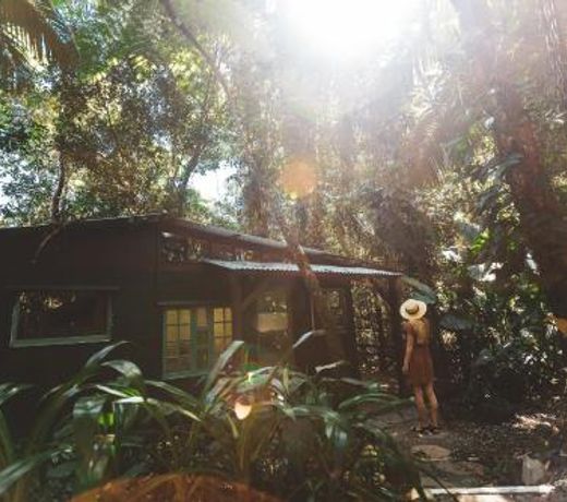 Cassowary House