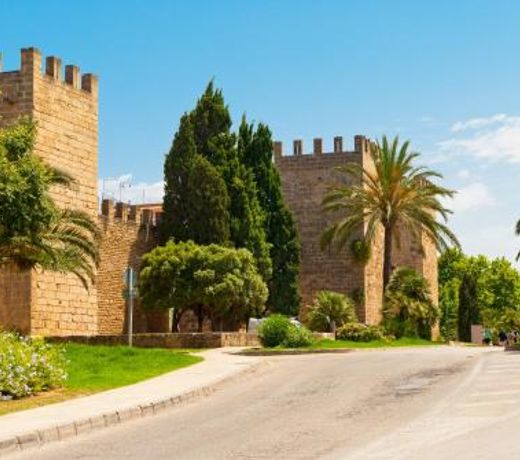 Finca CAN OLIVA Alcudia