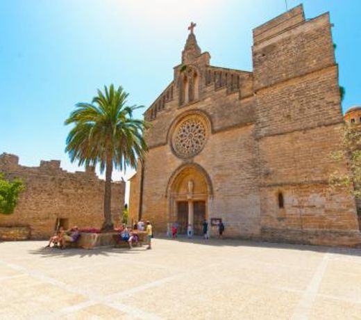 Finca CAN OLIVA Alcudia