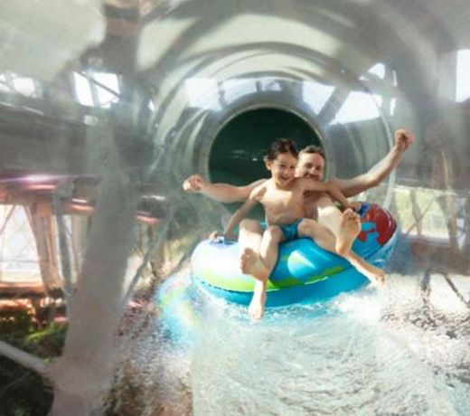 Logement cosy proche Paris et Disneyland