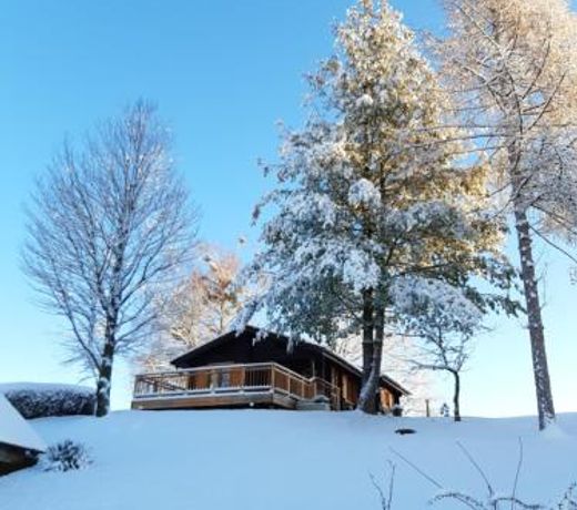 Ferienhaus Andrea