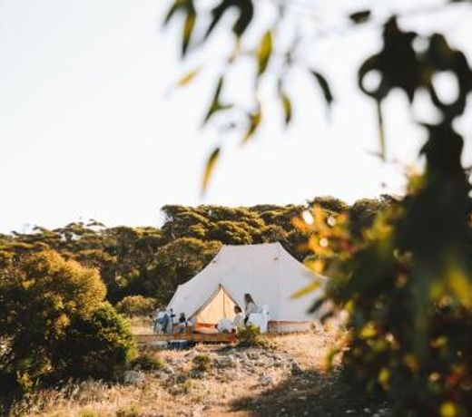 Glamping At September Beach, Lincoln National Park