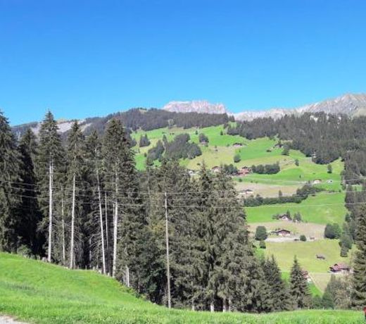 Ferien in der Bergwelt von Adelboden