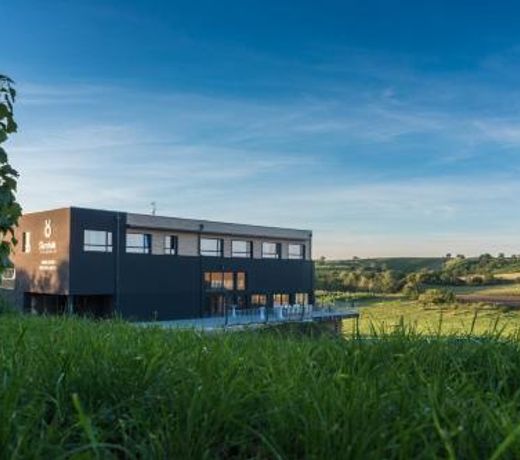 Boutique Hotel VinaÅstvÃ­ Å krobak