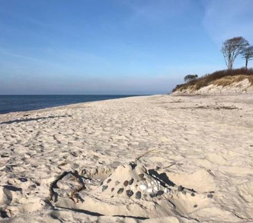 Ferienwohnung Strandperle