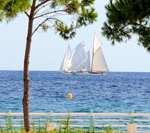 Garden and beach sea view apartment Cannes