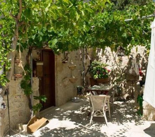 Petite Olive House