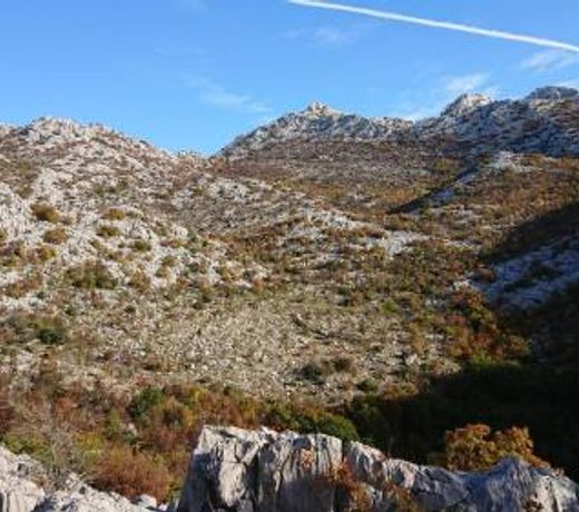 Villa Horizon
