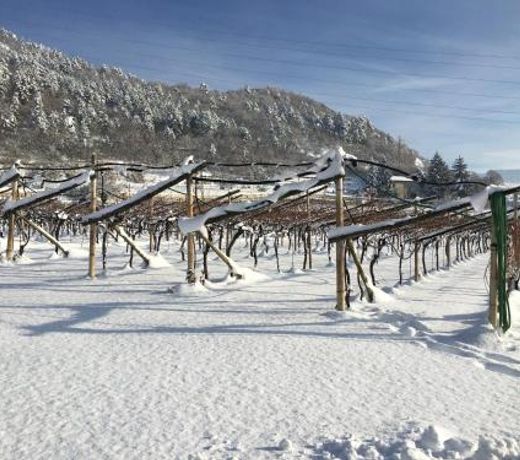 B&B Marina âLa Casa in Collinaâ