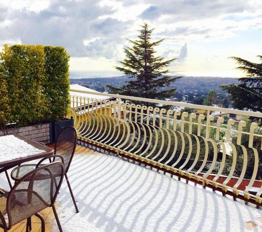 Etna-Royal-View-Camera-Standard