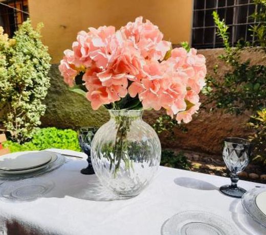 IL GIARDINO DI MAILA 25min from Florence