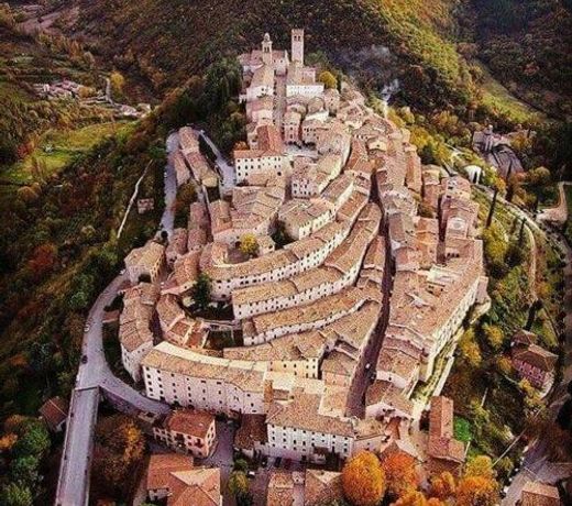 IL BUSSETO