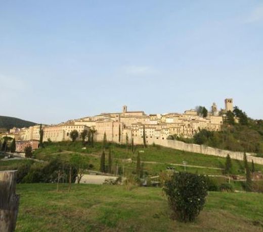 IL BUSSETO