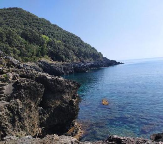 Judia Camere sul mare