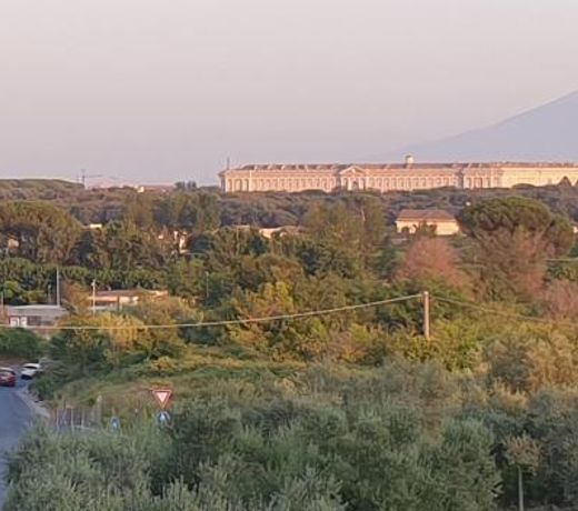 B&B Oliveto