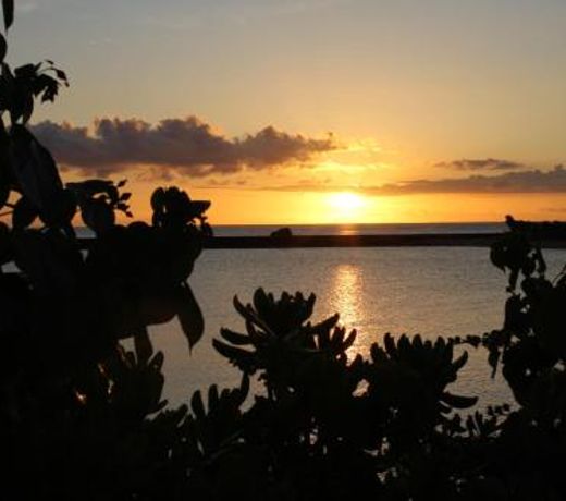 Guest house BAOBAB