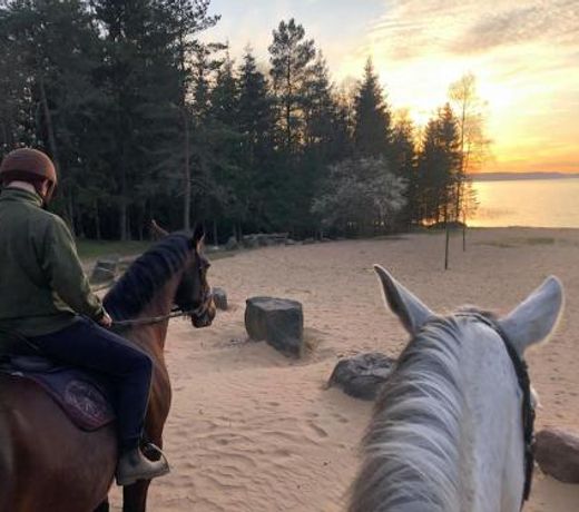 Nature Escape - Villa- SPA- Horses - Lake Plateliai
