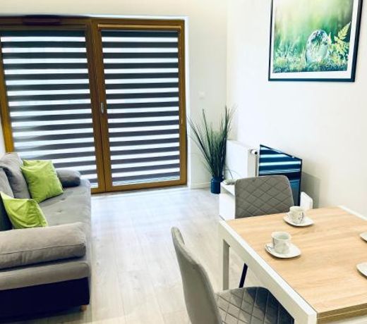 Modern Silver Apartment