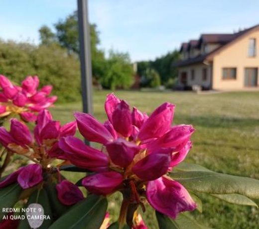 Wczasy pod gruszÄ