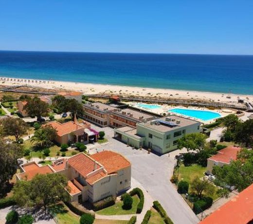 Estrela do Mar - A903
