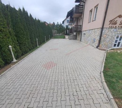 Vila ÄukiÄ Zlatibor