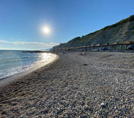 Бабушка Камбала