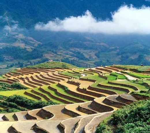 Sapa Homestay Trekking Tour For Backpackers