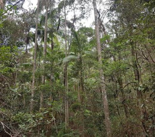 Starry Nights Luxury Camping