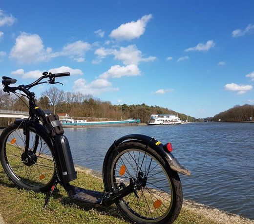 Vakantiewoning in Mol centrum met eigen bar "CasaCuriosa"