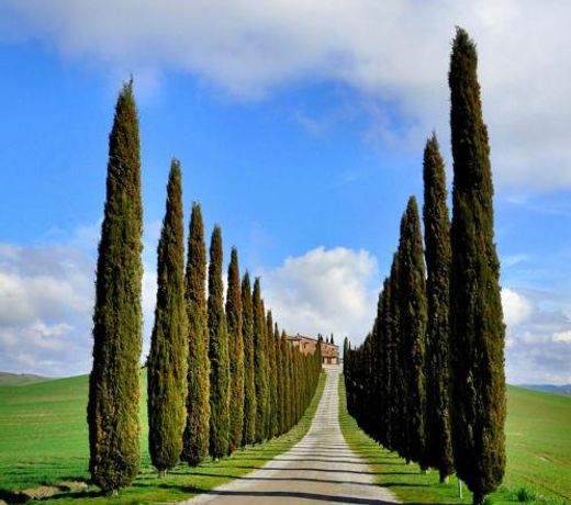 Val d'Orcia nel Borgo