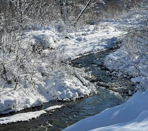Beskidzki Klimat JaÅliska