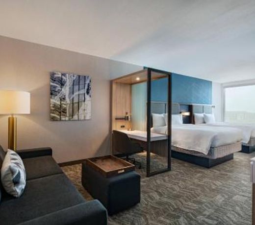 SpringHill Suites by Marriott Dallas Richardson/University Area