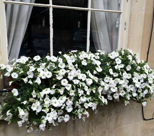 No 4 Ainslie's Belvedere B&B