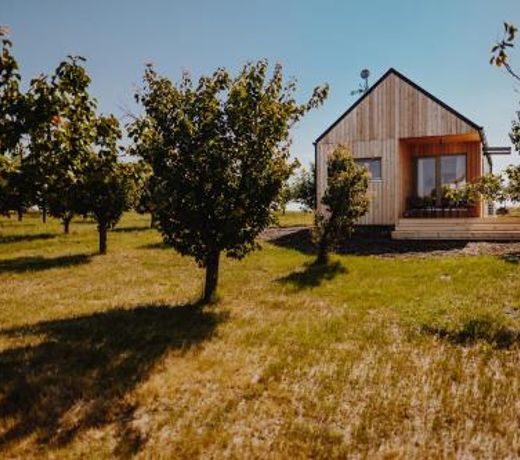 Šaldorfské domky