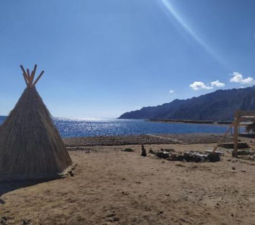Cosmos Camp