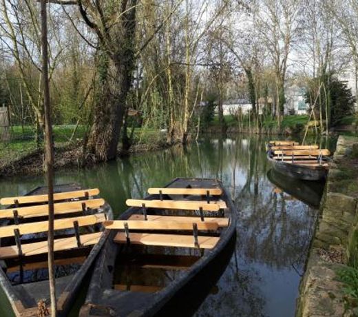 AU COEUR DU MARAIS