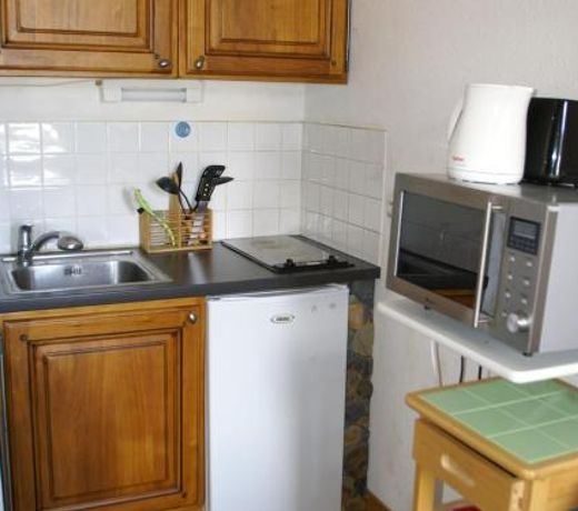 Appartement Les Adrets-Prapoutel, 1 piÃ¨ce, 3 personnes - FR-1-557-94